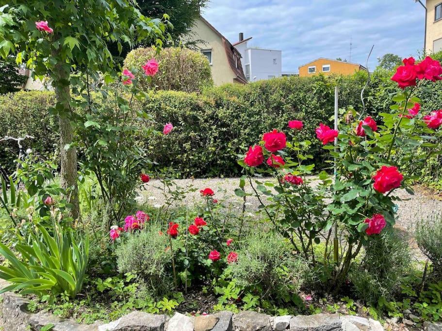 Fewo Apartment Lake Of Constance FDH Esterno foto